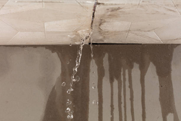 Professional Water Damage Repair technician working in Stetson, ME